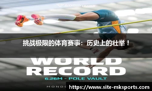 mk体育
